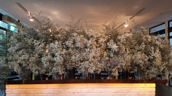 PS.Cafe Harding Road by null