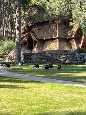 Chapel In the Hills by null