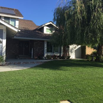 JP & T Landscape - the front of a house - Landscaping Near Me - Capistrano Beach, California