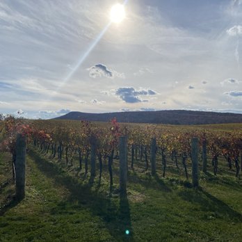 Big Cork Vineyards - Wineries Near Me - Rohrersville, Maryland