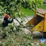 Photo of Northern Essex Tree Service