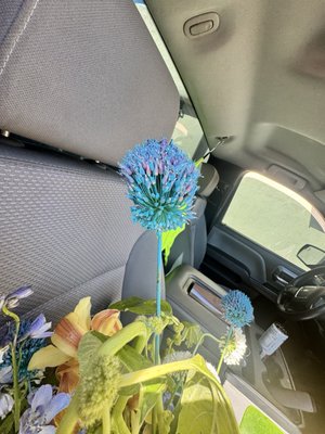 Flowerboy Project by null