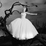 Photo of Altf Photography