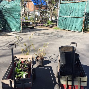 Nature By Design - Flowers for a monarch station, two blueberry bushes, and dirt! - Nurseries & Gardening Near Me - Alexandria, Virginia Nature By Design - Flowers for a monarch station, two blueberry bushes, and dirt! - Nurseries & Gardening Near Me - Alexandria, Virginia
