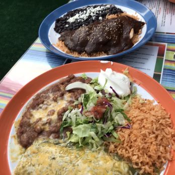 Frida's Mexican Grill - Pollo mole and cheese enchilada. - Mexican Near Me - Napa, California Frida's Mexican Grill - Pollo mole and cheese enchilada. - Mexican Near Me - Napa, California