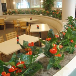 Commercial Plant Services