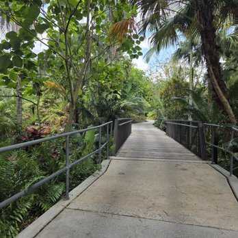 Harry P Leu Gardens - tropical garden - Venues & Event Spaces Near Me - Orlando, Florida Harry P Leu Gardens - tropical garden - Venues & Event Spaces Near Me - Orlando, Florida