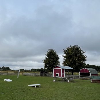 Johnston Fruit Farms - Turkeys, donkeys, and goats... oh my! - Pick Your Own Farms Near Me - Swanton, Ohio Johnston Fruit Farms - Turkeys, donkeys, and goats... oh my! - Pick Your Own Farms Near Me - Swanton, Ohio