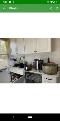 Super Deep Clean - This kitchen was used to cook for a food truck. It had not been touched in months. There was mold and grime everywhere. 

This was a DEEP clean.
