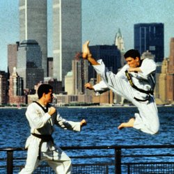 Lima Taekwondo & Brazilian Jiu Jitsu Academy