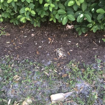 Windermere Cay Apartments - "Smoking section" - Apartments Near Me - Winter Garden, Florida