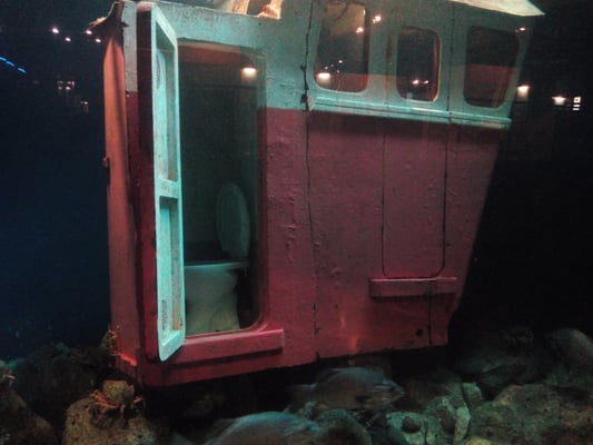 Aquarium Finisterrae by null