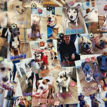 Lucky Dog Coffee - Dog board - Coffee & Tea Near Me - Simi Valley, California Lucky Dog Coffee - Dog board - Coffee & Tea Near Me - Simi Valley, California