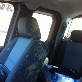 Shiny Auto Detail - Spinach & blueberry smoothie - Auto Detailing Near Me - Fairfield, California Shiny Auto Detail - Spinach & blueberry smoothie - Auto Detailing Near Me - Fairfield, California