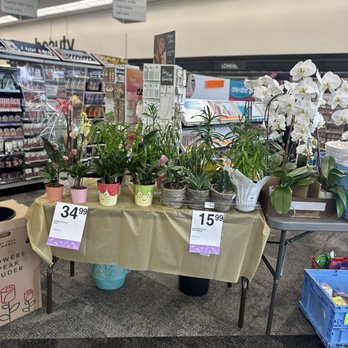 CVS Pharmacy - Discounted floral - Drugstores Near Me - Boynton Beach, Florida CVS Pharmacy - Discounted floral - Drugstores Near Me - Boynton Beach, Florida