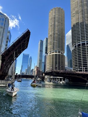 Chicago Riverwalk by null