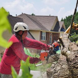 Leo's Tree Service