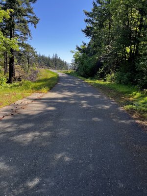 Starvation Creek Falls by null