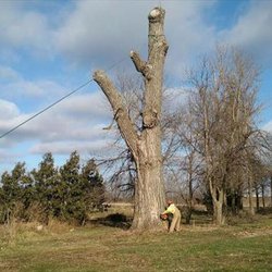Kvale Tree Service