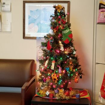 Coastal Cat Clinic - Veterinarians Near Me - Pacifica, California Coastal Cat Clinic - Veterinarians Near Me - Pacifica, California