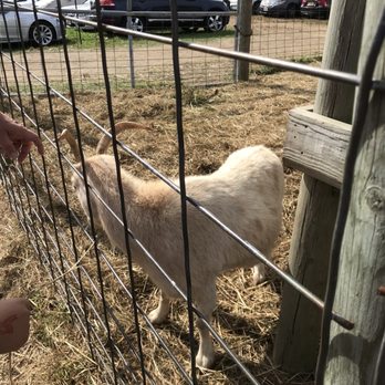 Shelburne Farm - Oct 2019 - Farms Near Me - Stow, Massachusetts