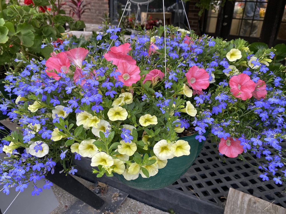 NORMS AMISH MARKET Updated October 2024 9084 Lebanon Rd, Mt. Juliet