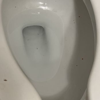 Lone Pine Motel - Toilet was not cleaned - Hotels Near Me - Garberville, California