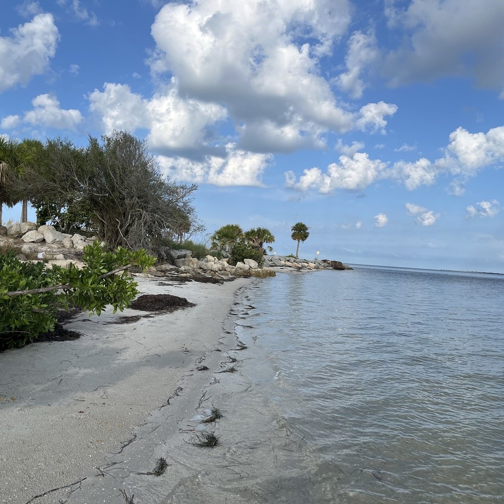Fred Howard Park - North side shoreline - Parks Near Me - Tarpon Springs, Florida Fred Howard Park - North side shoreline - Parks Near Me - Tarpon Springs, Florida
