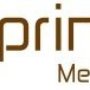 Photo of Springtree Media Group