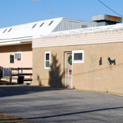 Rainbow Kennels