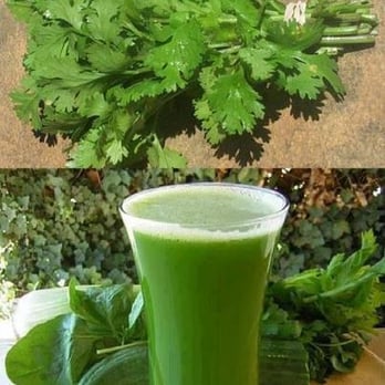 North Hill Espresso - veggi smoothie: flaxseed, cucumber, spinach and parsley... - Coffee & Tea Near Me - Des Moines, Washington