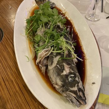 Koi Palace - Fish - Dim Sum Near Me - Milpitas, California Koi Palace - Fish - Dim Sum Near Me - Milpitas, California