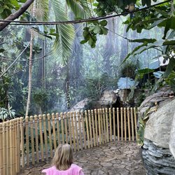 The Islands