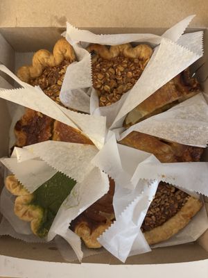 Four & Twenty Blackbirds by null