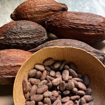 MUCHO. Museo del Chocolate - Museums Near Me - México, D.F., DIF