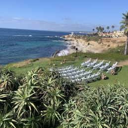 The Wedding Bowl (Sep 2024) The Wedding Bowl (Sep 2024)