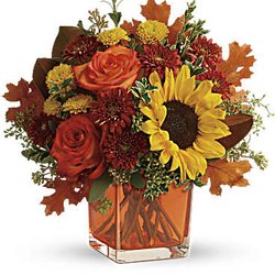 Nest Floral Design Studio