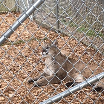 Plumpton Park Zoo - Zoos Near Me - Rising Sun, Maryland Plumpton Park Zoo - Zoos Near Me - Rising Sun, Maryland