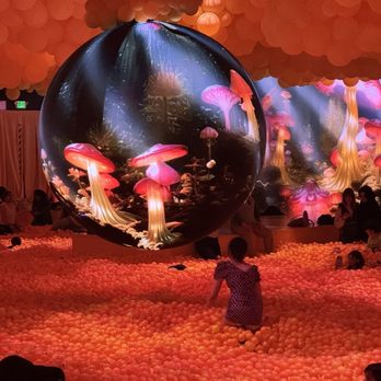 Balloon Museum - Museums Near Me - San Francisco, California