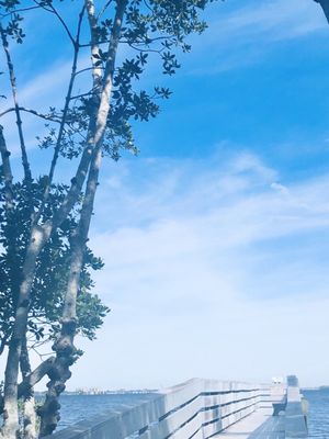 Four Mile Cove Ecological Preserve by null