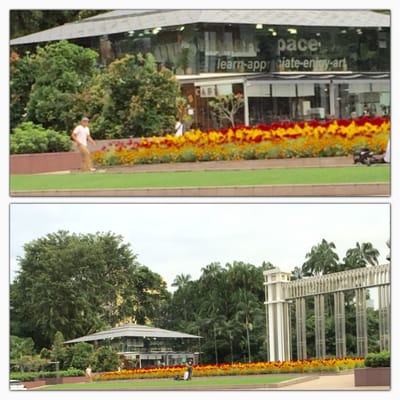 My Art Space by null