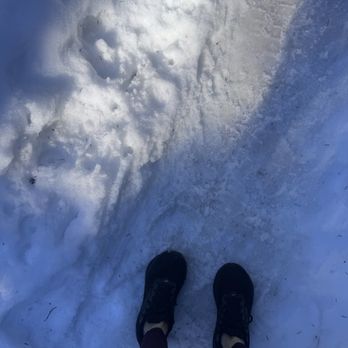 BCMC Grouse Trail - Full on snow fest - Hiking Near Me - North Vancouver, British Columbia BCMC Grouse Trail - Full on snow fest - Hiking Near Me - North Vancouver, British Columbia