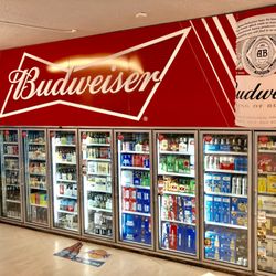 Selection of Beers and Craft Beers