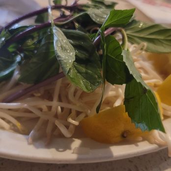 Pho Tasty - Vietnamese Near Me - Artesia, California