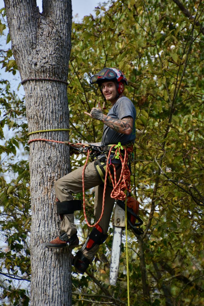 ARBOR BARBER TREE SPECIALIST Updated August 2024 41 Photos