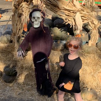 Larry's Produce - October 2019 Pumpkin Patch at larry's Produce - Fruits & Veggies Near Me - Fairfield, California Larry's Produce - October 2019 Pumpkin Patch at larry's Produce - Fruits & Veggies Near Me - Fairfield, California