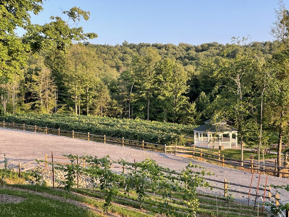 WOODY LODGE WINERY Updated September 2024 10 Photos 1301 Colonel