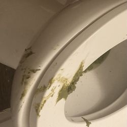 Sylmar Leadership Academy - Toilet