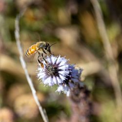 True Grass Farms - True Grass Farms Campground