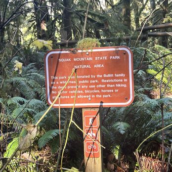 Squak Mountain State Park - Hiking Near Me - Issaquah, Washington